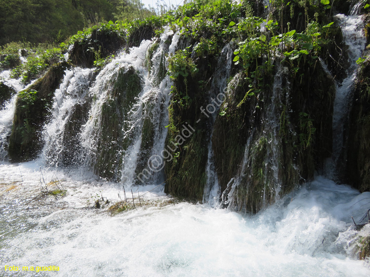 Parque de Plitvice (135)