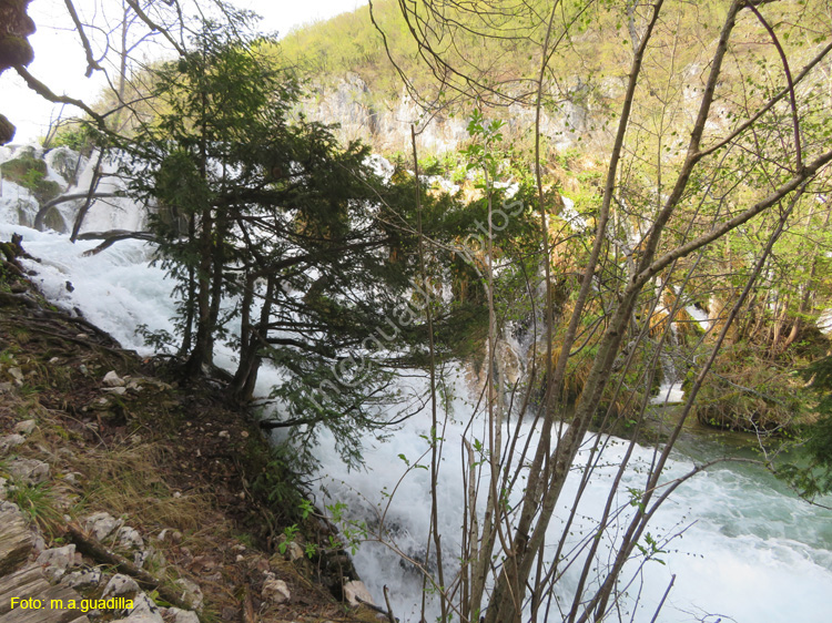 Parque de Plitvice (147)