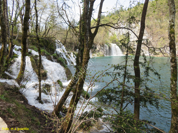 Parque de Plitvice (155)