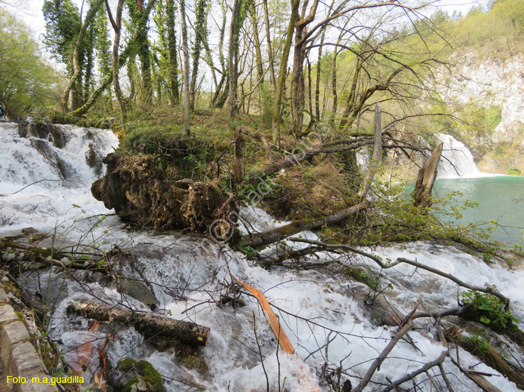 Parque de Plitvice (156)