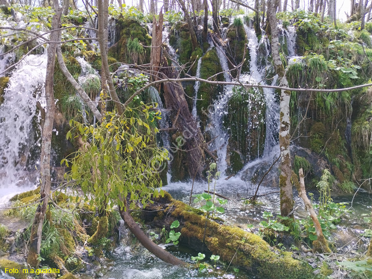 Parque de Plitvice (172)