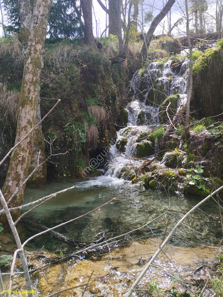 Parque de Plitvice (187)