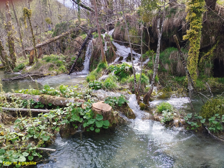 Parque de Plitvice (189)