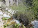 Parque de Plitvice (120)