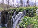 Parque de Plitvice (175)