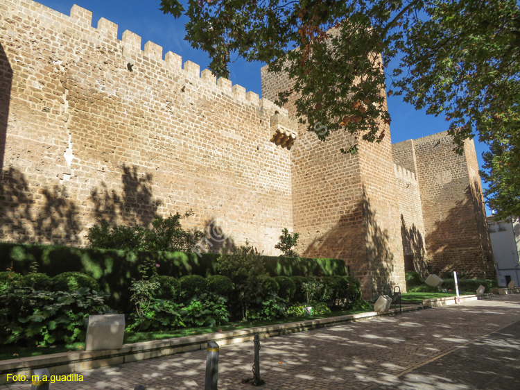 PRIEGO DE CORDOBA (150) Castillo