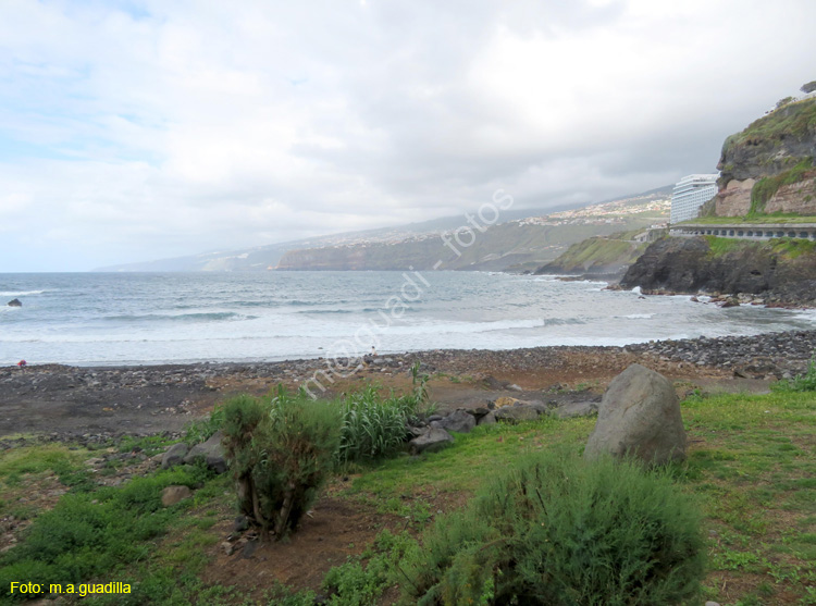 PUERTO DE LA CRUZ (101)