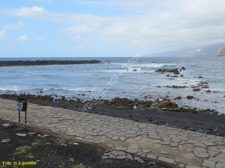 PUERTO DE LA CRUZ (102)