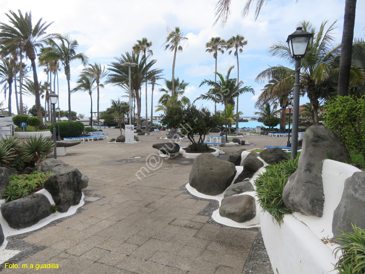 PUERTO DE LA CRUZ (104) Lago Martianez