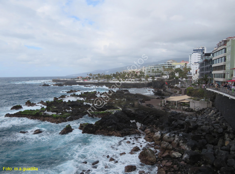 PUERTO DE LA CRUZ (126)
