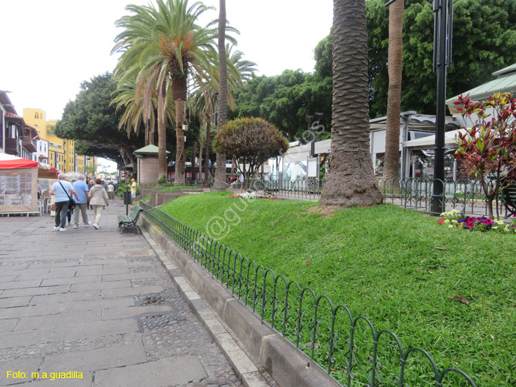 PUERTO DE LA CRUZ (158) Plaza del Charco