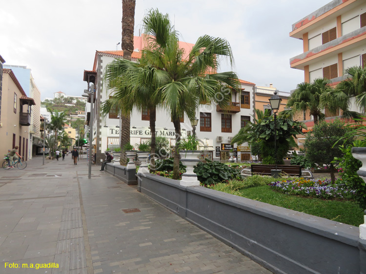 PUERTO DE LA CRUZ (170)