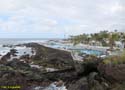 PUERTO DE LA CRUZ (124)