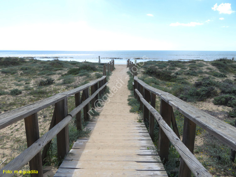 Punta Umbria (103) Playa del Cale