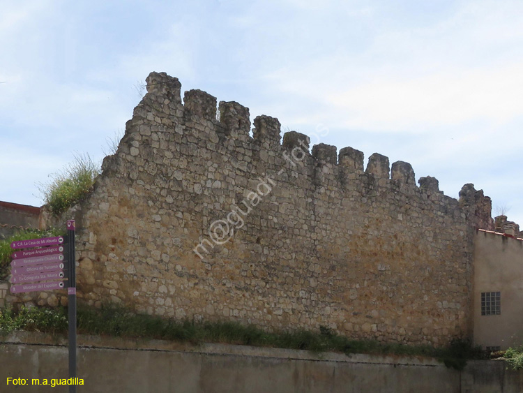 ROA (100) Muralla