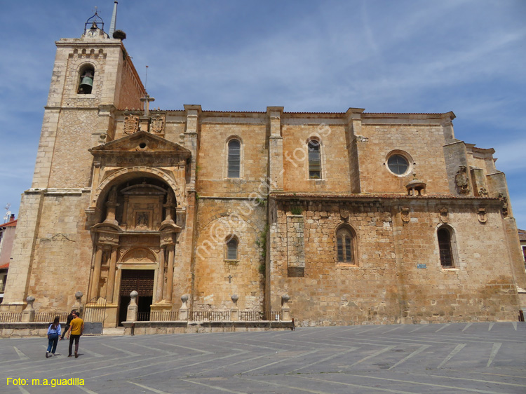 ROA (101) ExColegiata de Nuestra Señora de la Asuncion