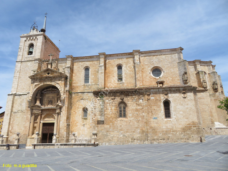 ROA (130) ExColegiata de Nuestra Señora de la Asuncion