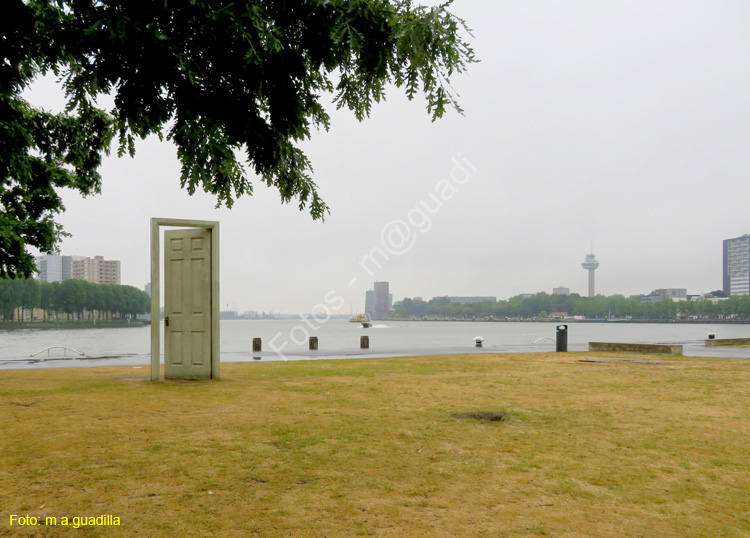 ROTTERDAM (103) Koninginnenhoofd