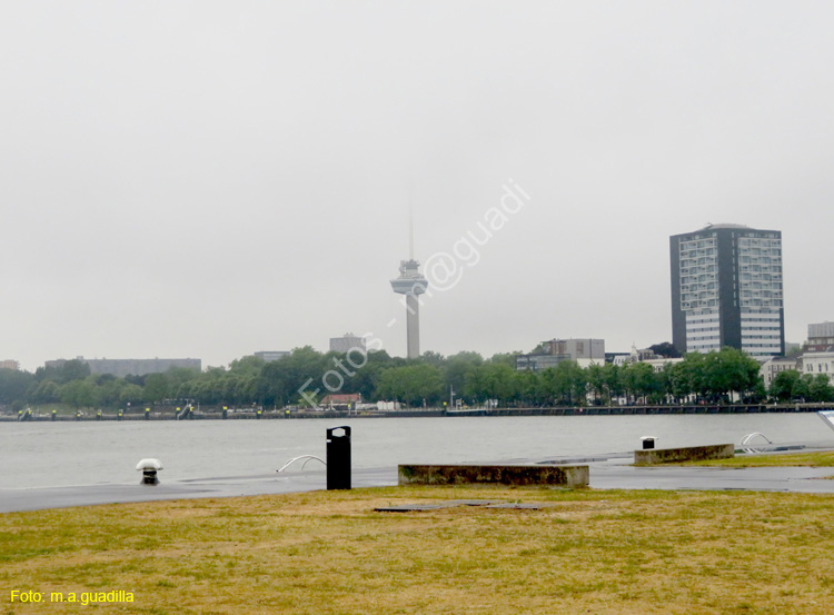 ROTTERDAM (104) Koninginnenhoofd