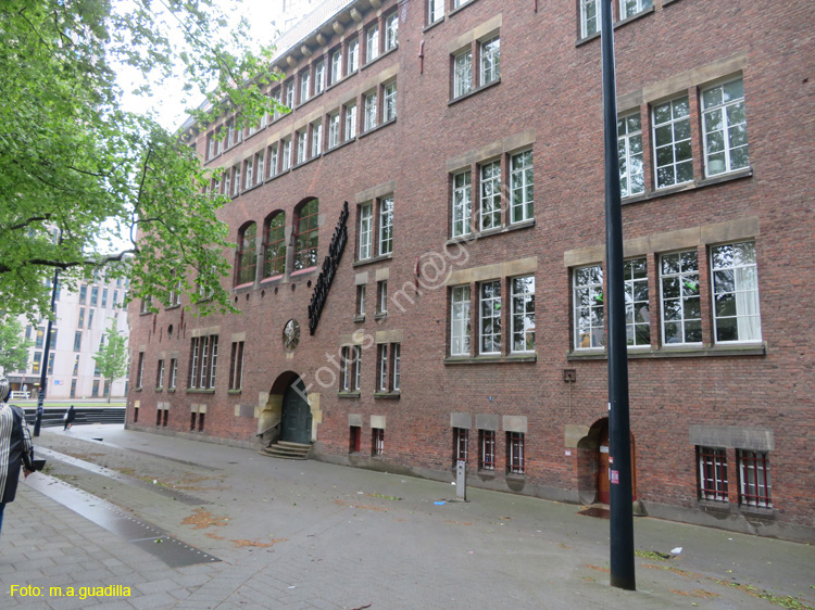 ROTTERDAM (113) Universidad