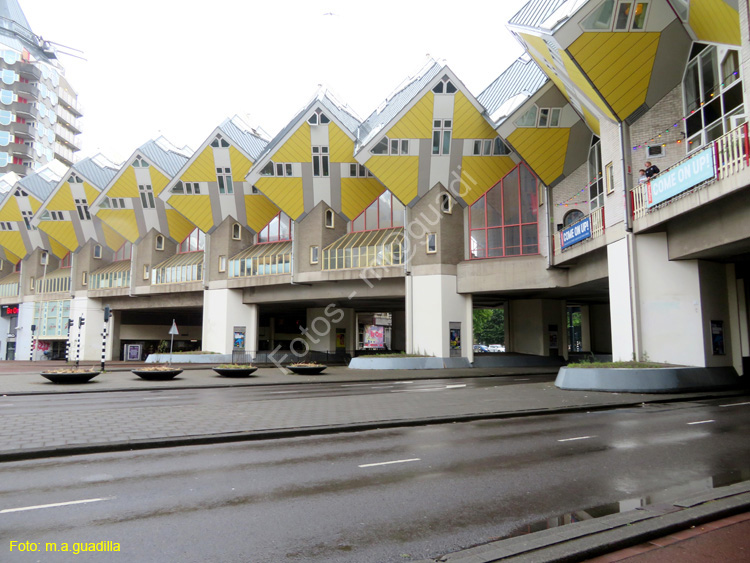 ROTTERDAM (132) Casa Cubo