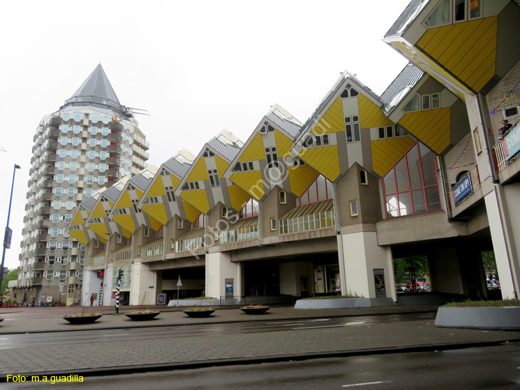 ROTTERDAM (133) Casa Cubo