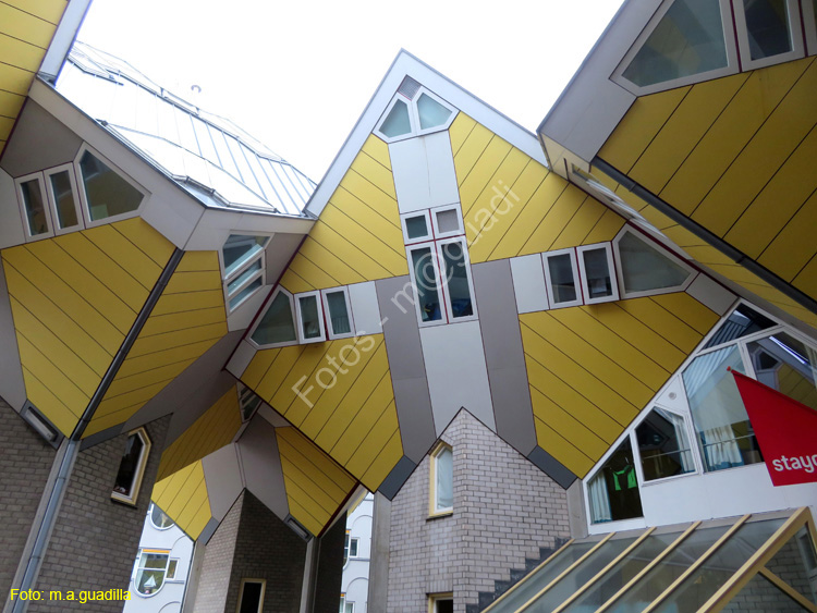ROTTERDAM (139) Casa Cubo