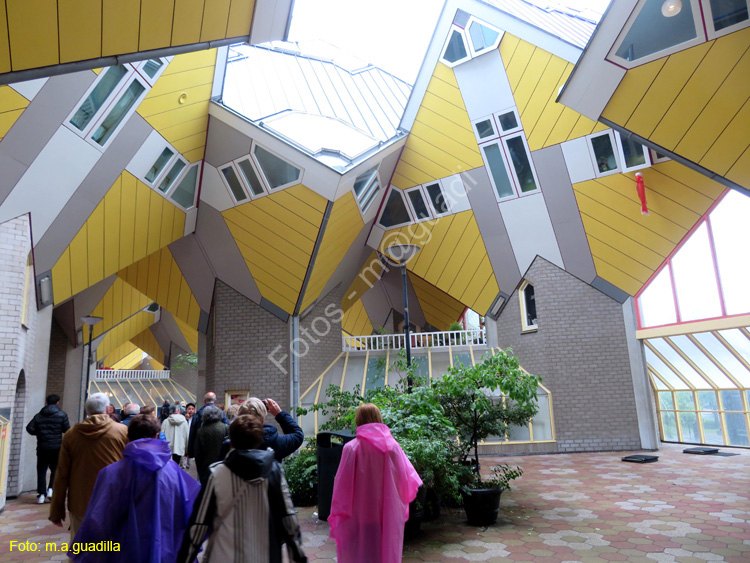ROTTERDAM (140) Casa Cubo