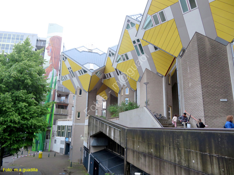 ROTTERDAM (142) Casas Cubo