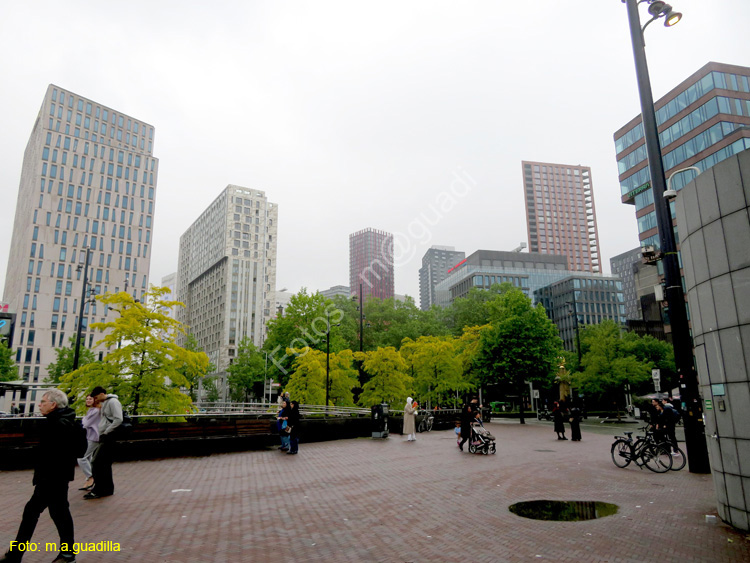 ROTTERDAM (144) Vista desde Kolk