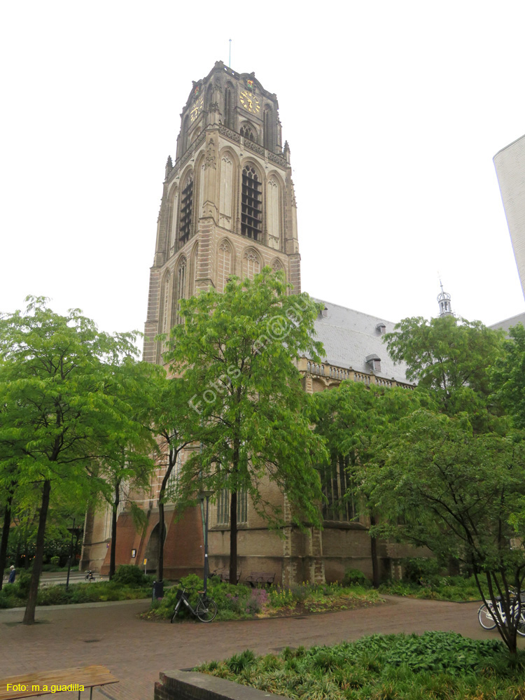 ROTTERDAM (149) Sint-Laurenskerk