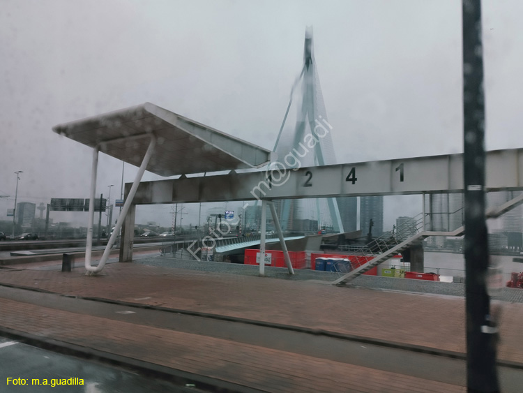 ROTTERDAM (153) Puente Erasmus