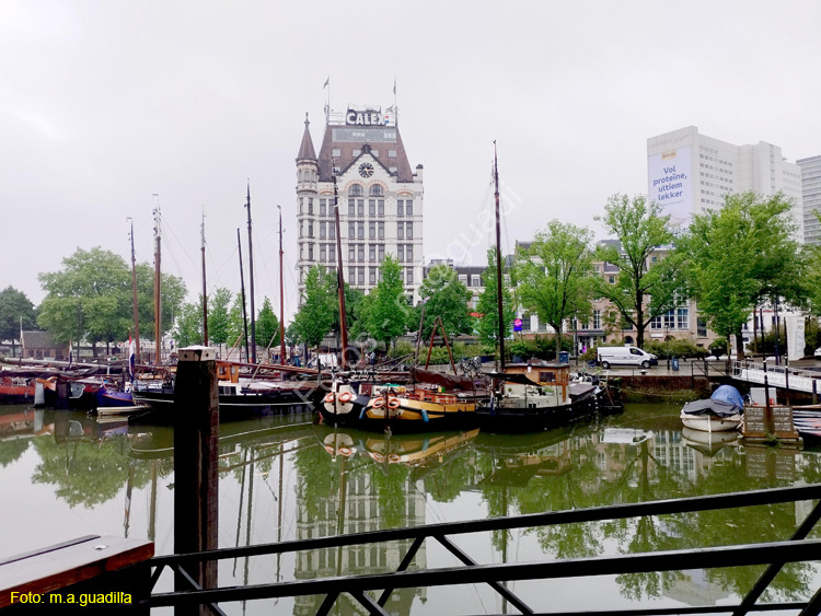 ROTTERDAM (159) la Casa Blanca