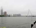 ROTTERDAM (110) Puente Erasmus