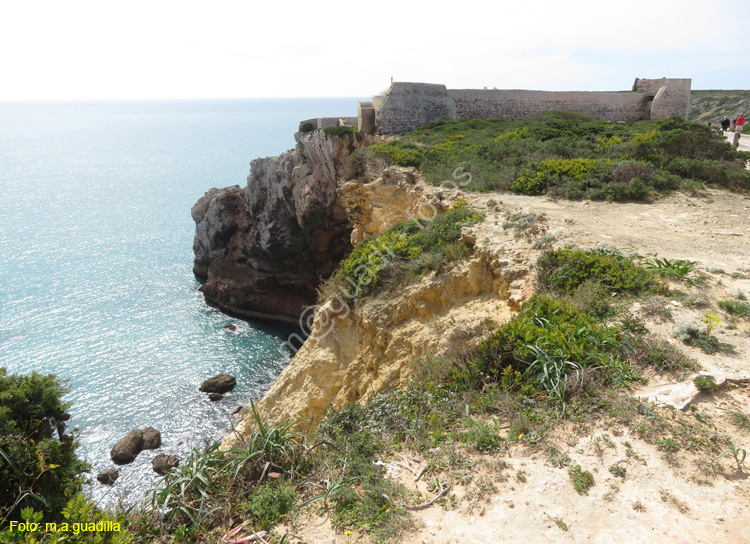 SAGRES (131) Beliche