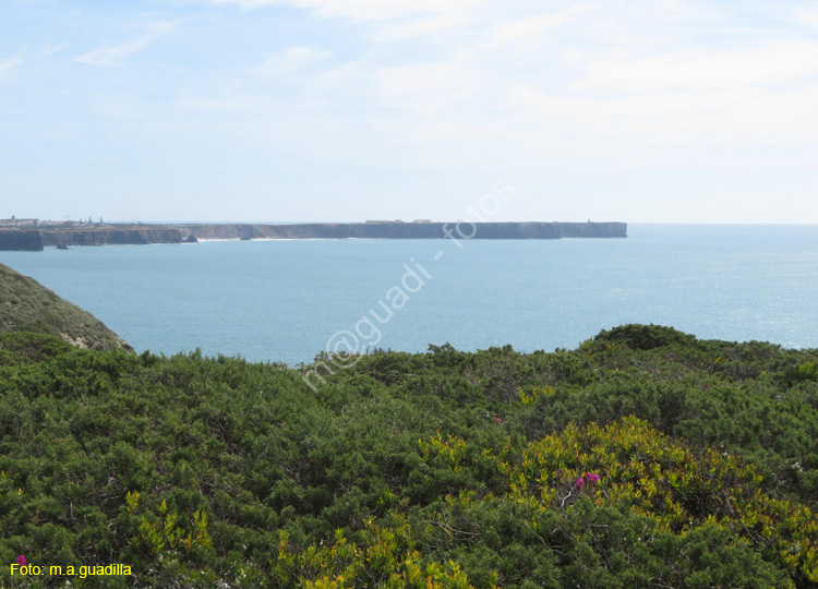 SAGRES (133) Beliche