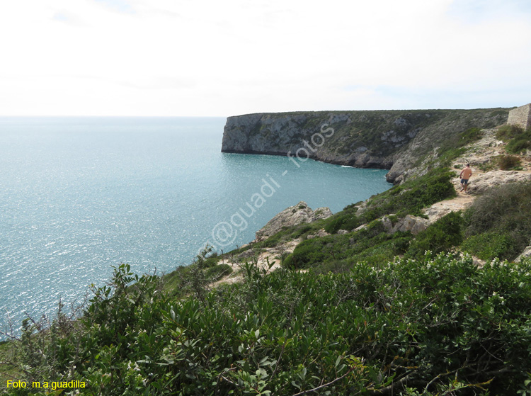 SAGRES (141) Beliche