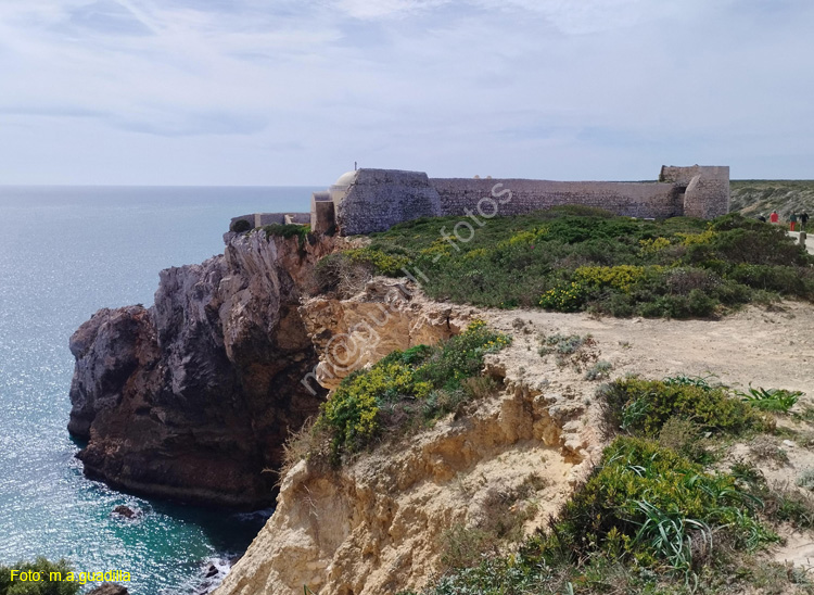 SAGRES (143) Beliche