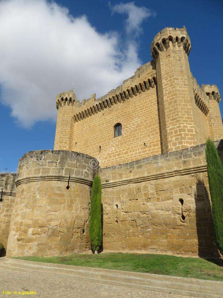 SAJAZARRA (103) Castillo