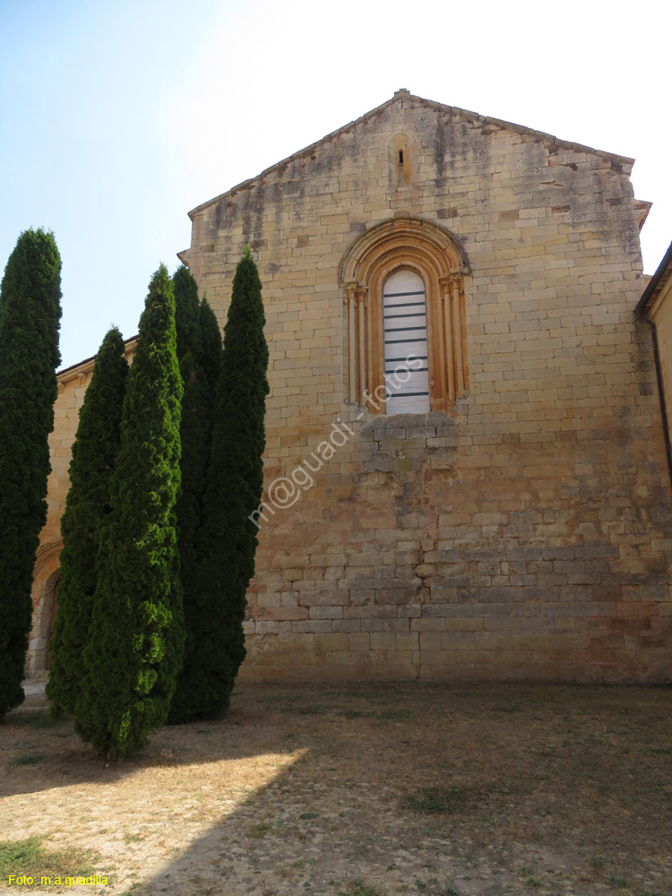 SAN ANDRES DEL ARROYO (106) Monasterio