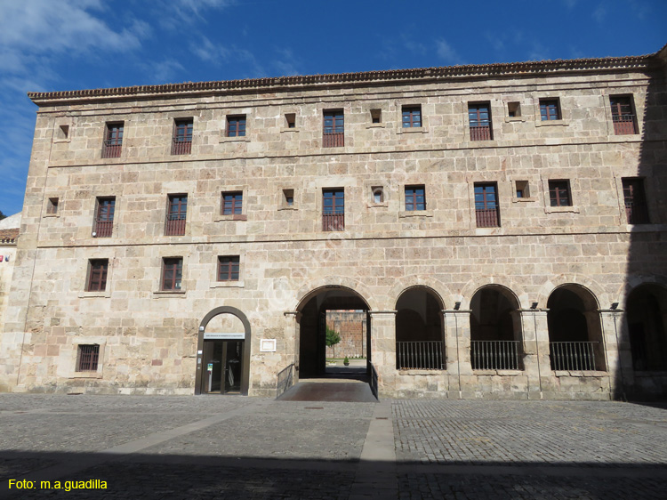SAN MILLAN DE LA COGOLLA (217) Monasterio de Yuso