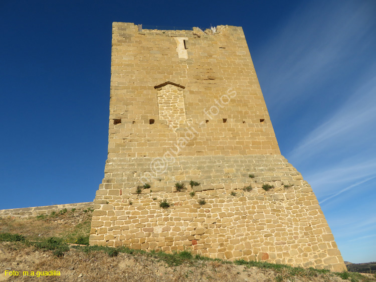 SAN VICENTE DE LA SONSIERRA (121) Castillo