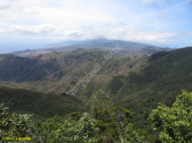 SC de TENERIFE (305) Anaga