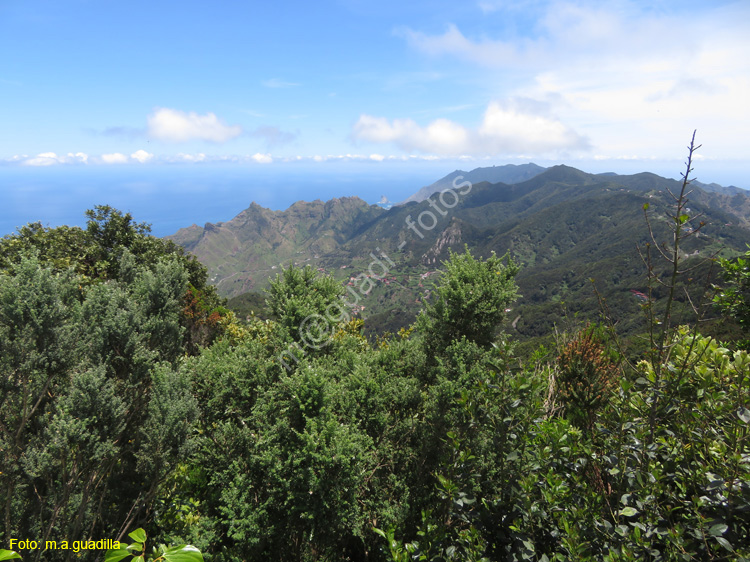 SC de TENERIFE (306) Anaga