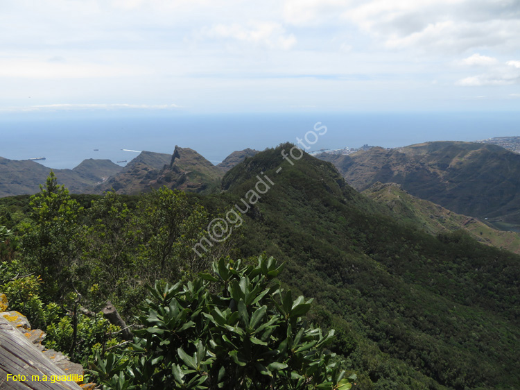 SC de TENERIFE (307) Anaga