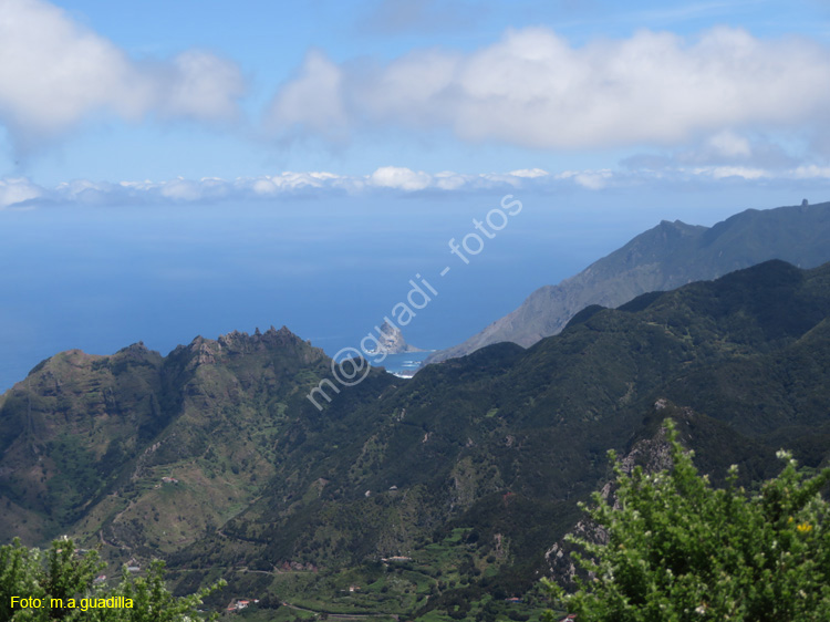 SC de TENERIFE (309) Anaga