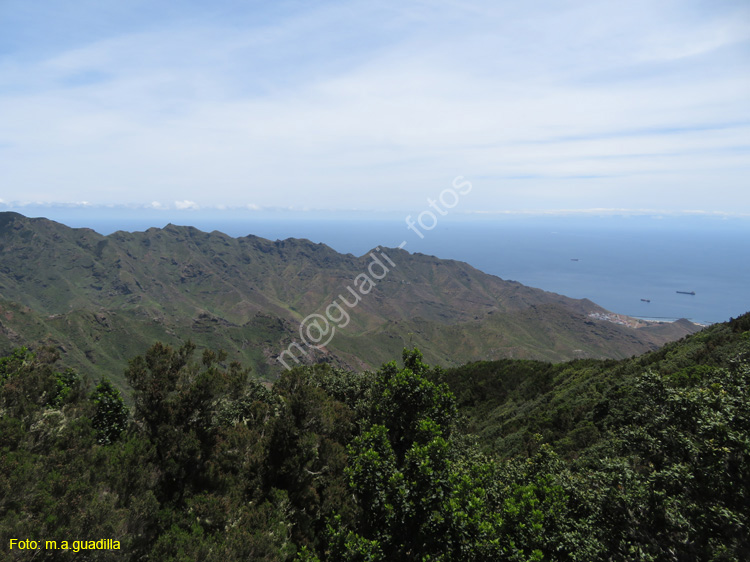 SC de TENERIFE (310) Anaga