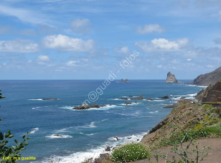 SC de TENERIFE (313) Anaga - Roques de Anaga
