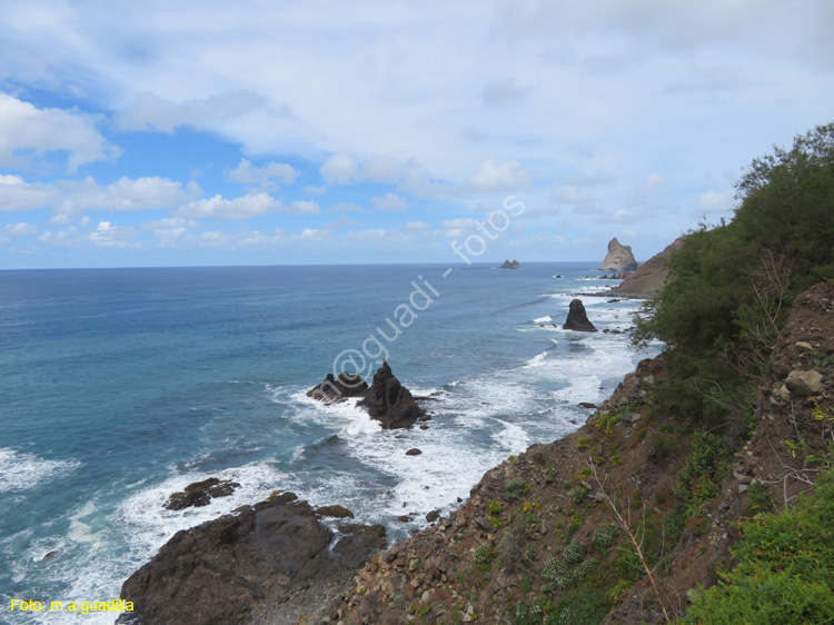 SC de TENERIFE (319) Anaga - Roques de Anaga