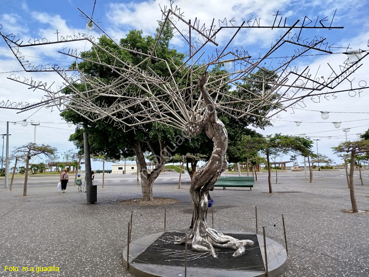 SC de Tenerife (149) Plaza España - Lo llevo bien